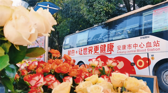 安康這三兄妹，熱血！