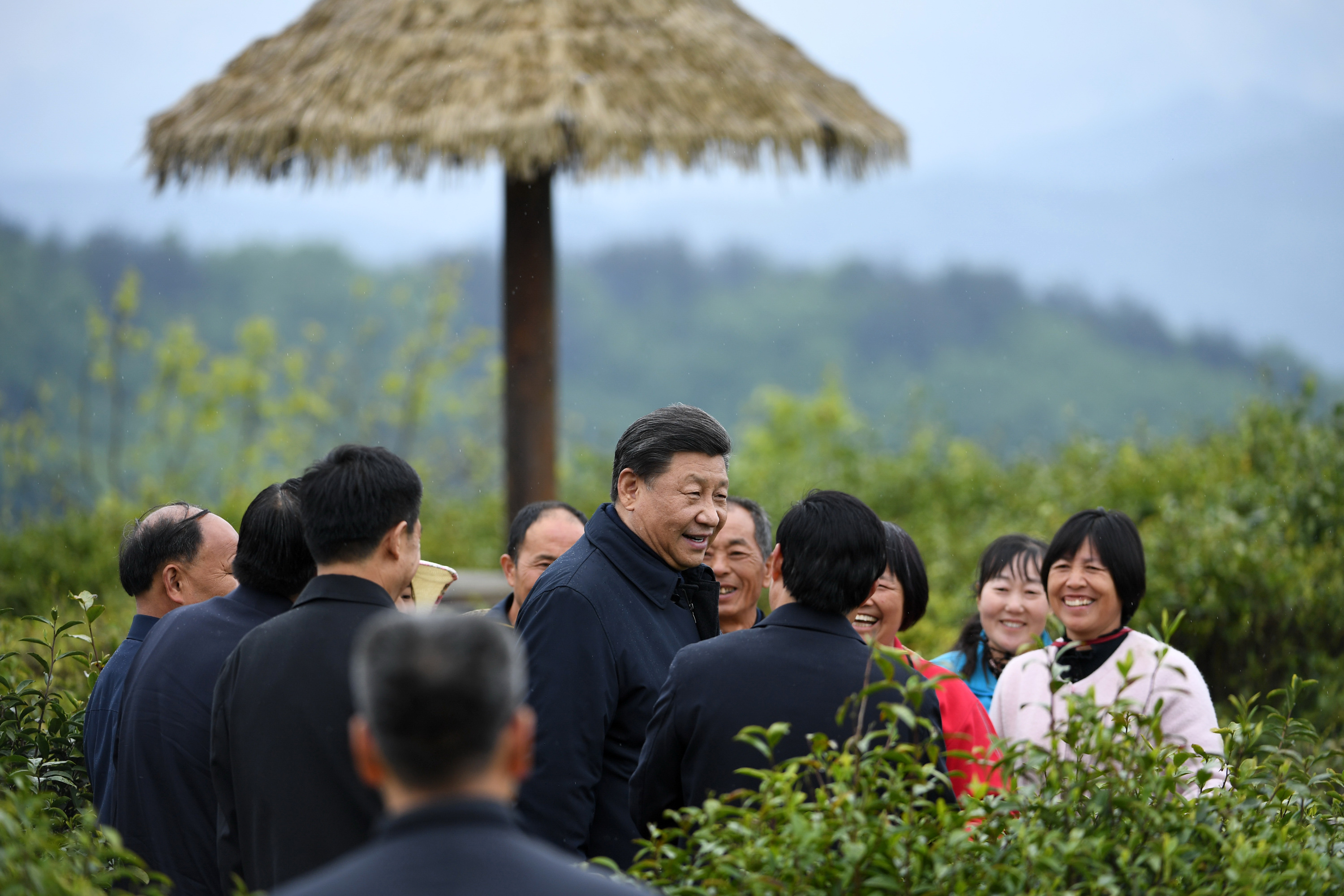 2020年4月21日，習(xí)近平在安康市平利縣老縣鎮(zhèn)蔣家坪村女媧鳳凰茶業(yè)現(xiàn)代示范園區(qū)，同茶農(nóng)們親切交談。